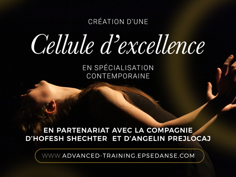 EPSEDANSE - Cellule d'excellence
